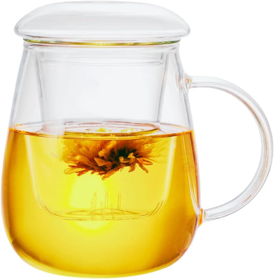 Glass Tea Cup with Infuser & Lid, 17.6 Oz Borosilicate Glass Steeping Mug for Loose Leaf & Blooming Tea, C500